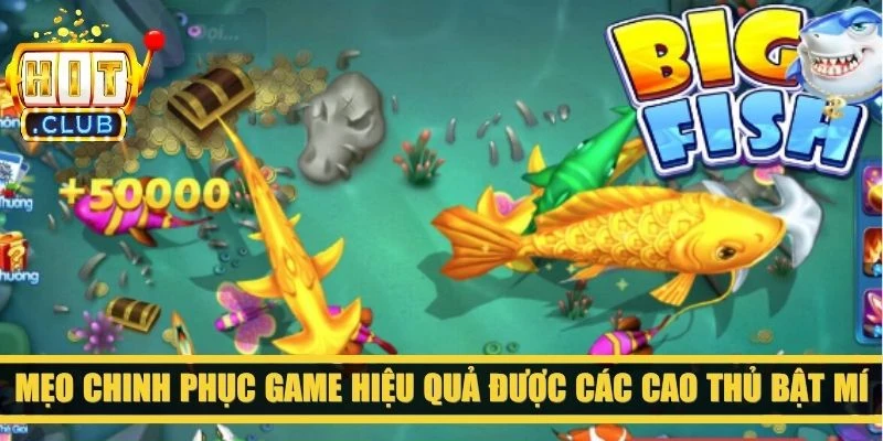 Mẹo chinh phục game hiệu quả được các cao thủ bật mí