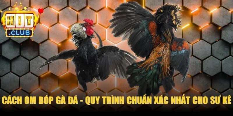 Cách Om Bóp Gà Đá