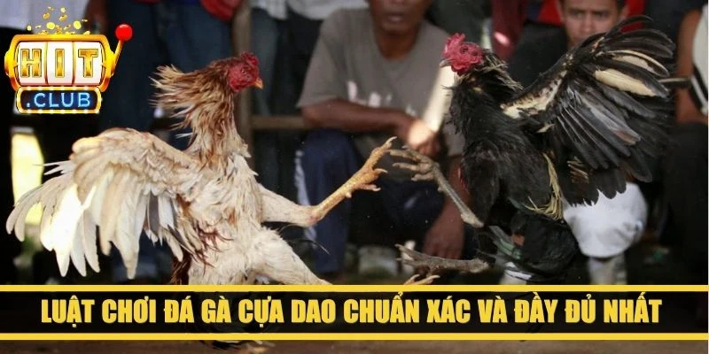 Luật chơi đá gà cựa dao chuẩn xác và đầy đủ nhất cho anh em